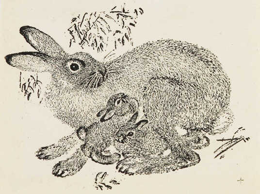 Чарушин Евгений Иванович. Лот из трех иллюстраций: 